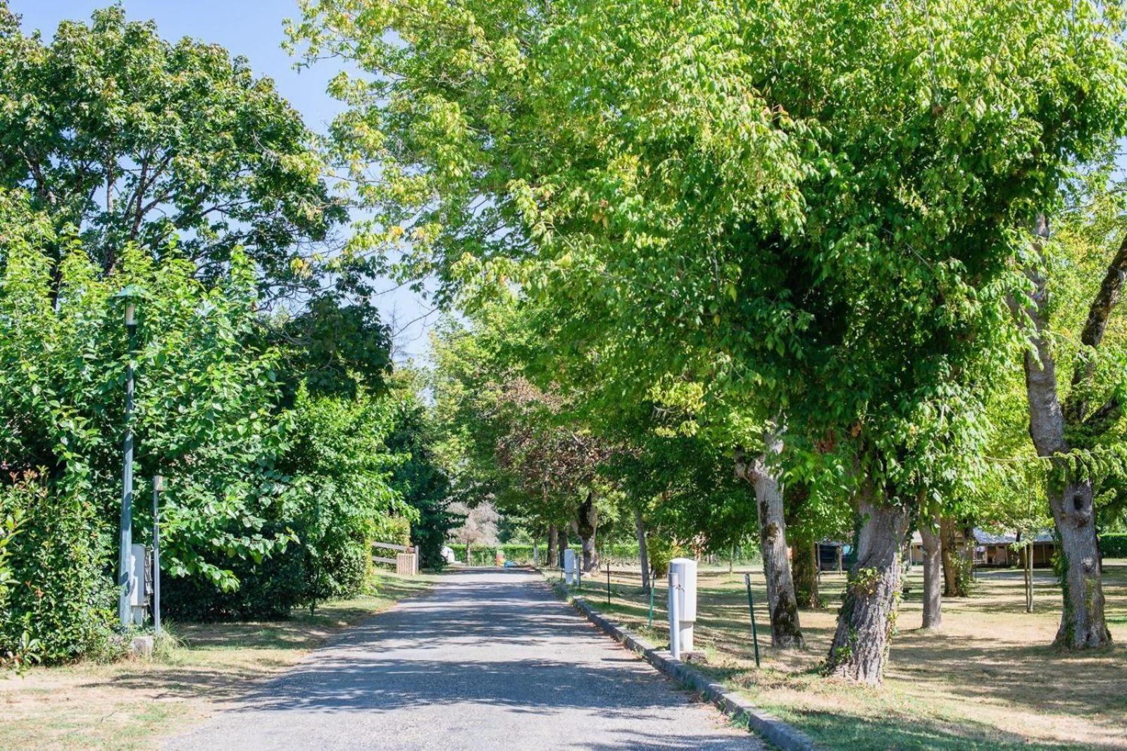 Camping Onlycamp L'Argente 康顿 外观 照片